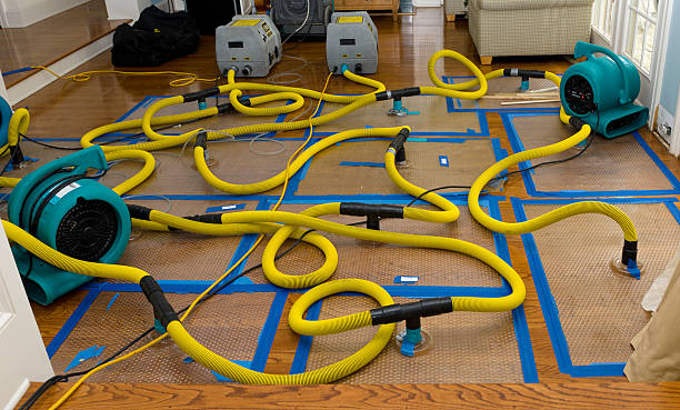 Professional Crawl Space Water Removal technician working in Mingo, IA